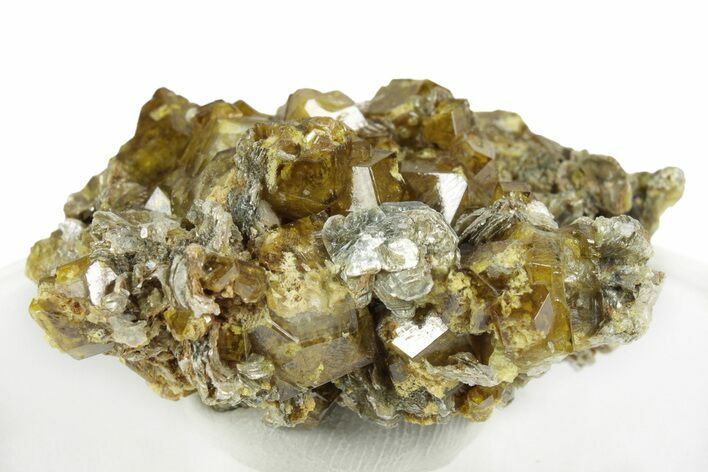Yellow Andradite-Grossular Garnet Cluster with Clinochlore - Mali #245210
